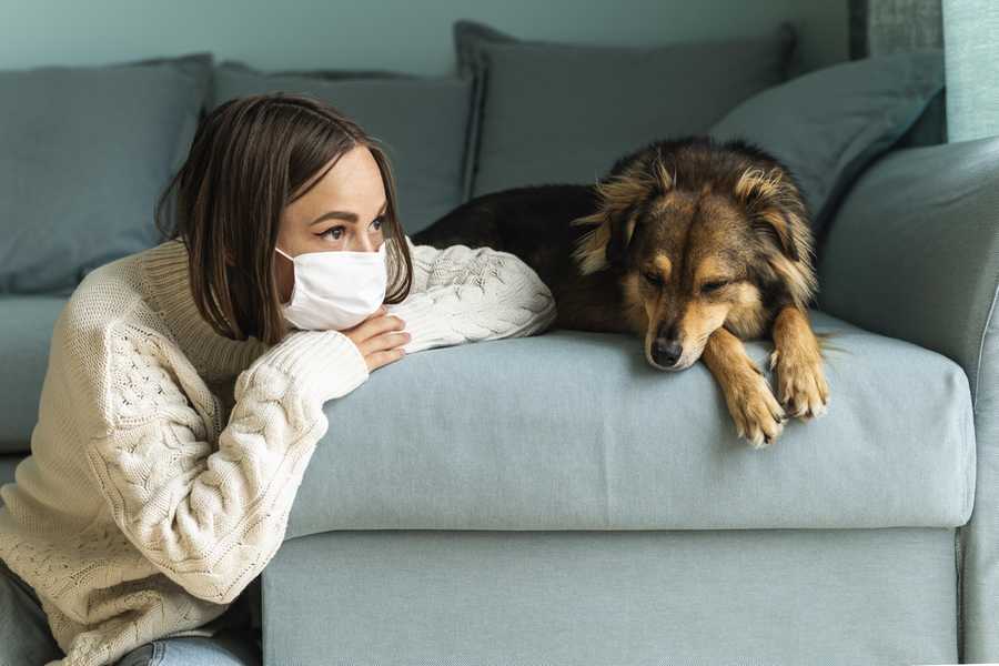 Além de grandes amigos, cães podem ser verdadeiros protetores da vida humana